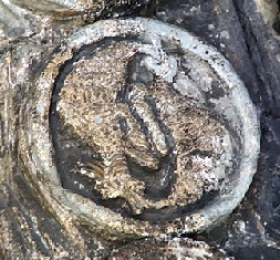 Birkin web039 Birkin web039