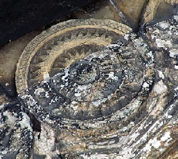 Birkin web049 Birkin web049