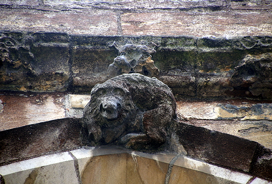 Boston Web (6) Boston Web (6)