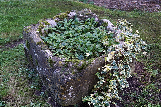 Breckles Web037 Breckles Web037