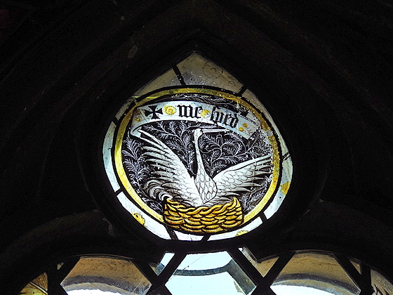 Brownes_web028 Brownes_web028