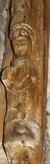 Castor (15)a Castor (15)a