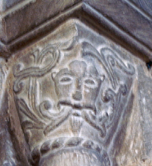 Castor (33)a Castor (33)a