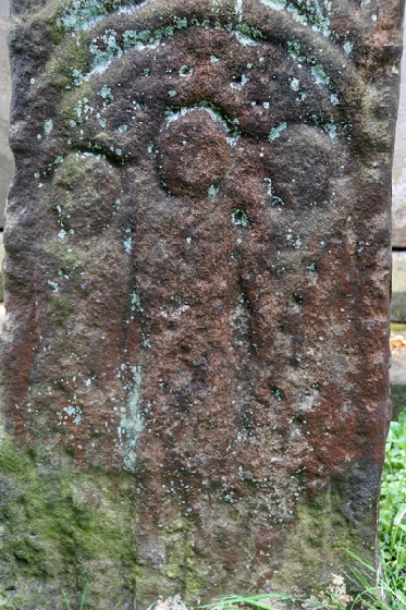 Checkley Web (67) Checkley Web (67)