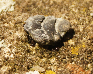 Cold Overton Web (26) Cold Overton Web (26)