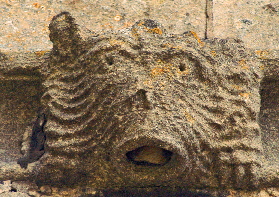 South West Aisle (1) South West Aisle (1)