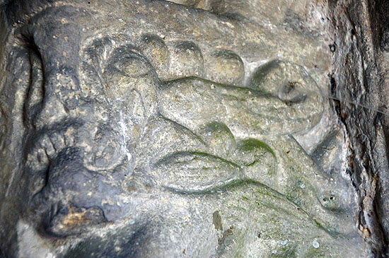 Dinton Web013 Dinton Web013