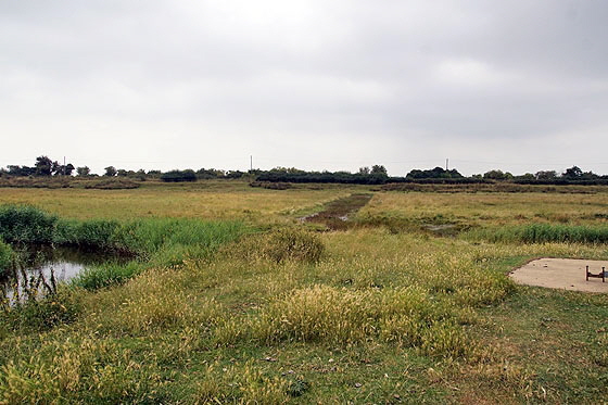 Fairfield Web005 Fairfield Web005