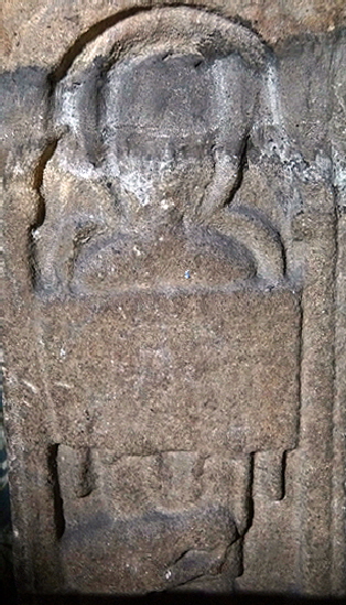 Halton_web028 Halton_web028