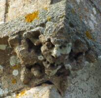 Hungarton (57)a Hungarton (57)a