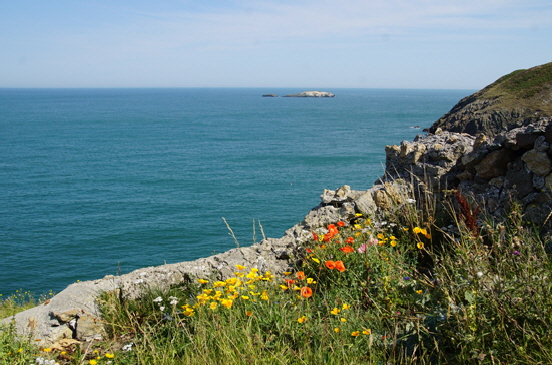 Llanbadrig Web27 Llanbadrig Web27