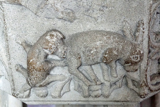 Lostwithiel (5)005 Lostwithiel (5)005