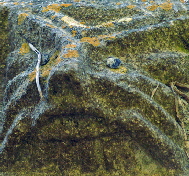 Lowsford (73) b Lowsford (73) b