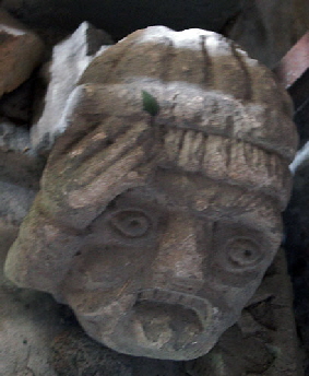 Luppitt Web029 Luppitt Web029