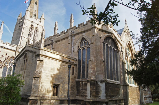 Oak (168)a Oak (168)a