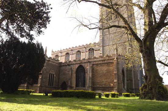 Oak (190)a Oak (190)a