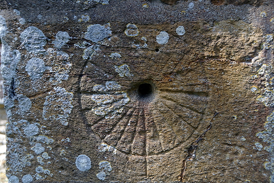 Oddington Web101 Oddington Web101