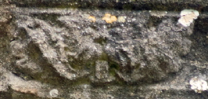 Thurlby Revisited (50)a Thurlby Revisited (50)a