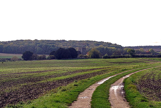 Tixover Web022 Tixover Web022