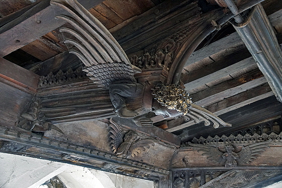 Upwell-Web043 Upwell-Web043