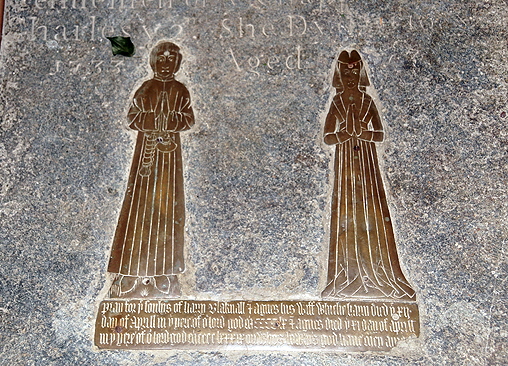 Wing Web054 Wing Web054