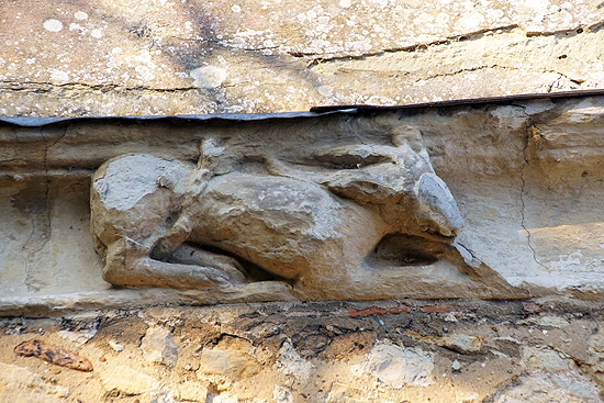 Wing Web059 Wing Web059