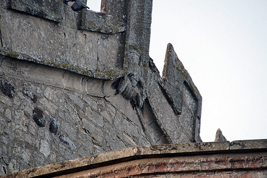 Wing Web087 Wing Web087