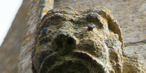 Wymondham (3)b Wymondham (3)b